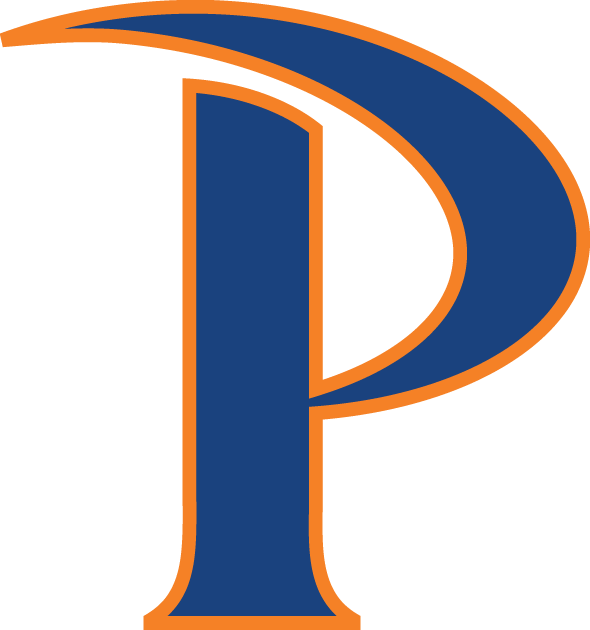 Pepperdine Waves 2011-Pres Primary Logo iron on transfers for T-shirts